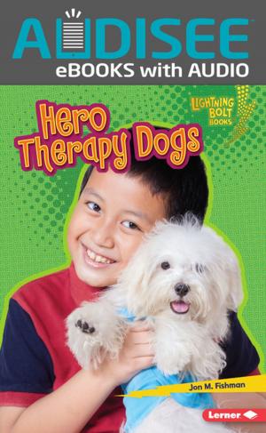 Cover of the book Hero Therapy Dogs by Linda Lowery