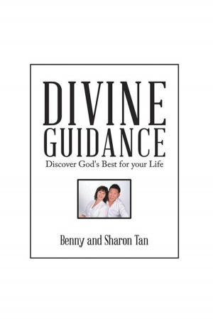 Cover of the book Divine Guidance by Sola Oki
