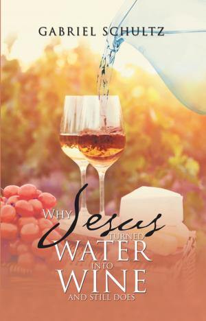 Cover of the book Why Jesus Turned Water into Wine and Still Does by Heidi Heath Garwood