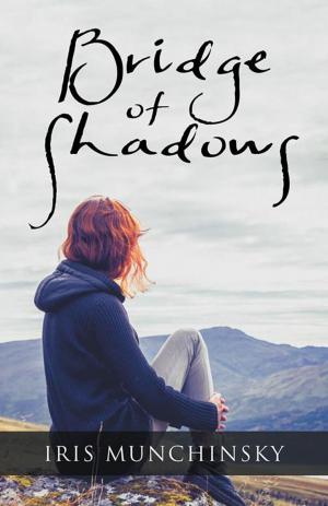 Cover of the book Bridge of Shadows by Rosemary G. Ryan