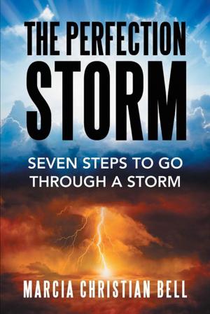 Cover of the book The Perfection Storm by KAKRA BAIDEN
