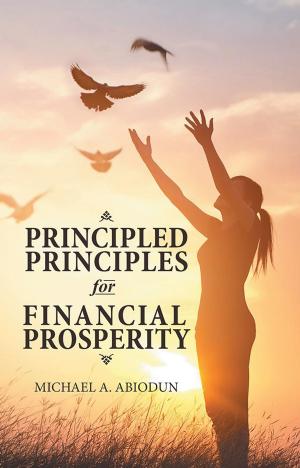 Cover of the book Principled Principles for Financial Prosperity by Chris Goppert