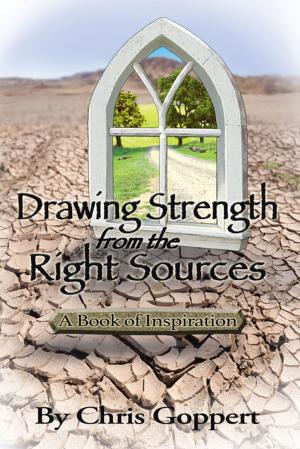 bigCover of the book Drawing Strength from the Right Sources by 