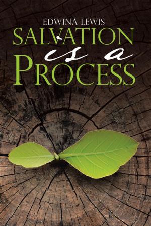 Cover of the book Salvation Is a Process by Teresa K. Page