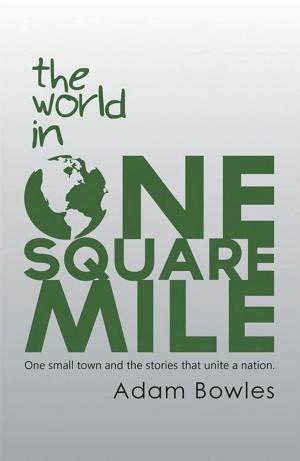 Cover of the book The World in One Square Mile by Scribbler II