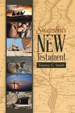 Cover of the book Snapshots of the New Testament by Gerald Caskey, Debbie Caskey