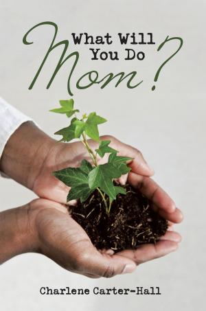 Cover of the book What Will You Do Mom? by James W. Murphy