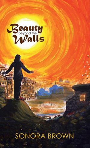 Cover of the book Beauty Beyond the Walls by Dr.  Jeanne A. Svobodny