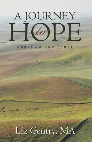 bigCover of the book A Journey to Hope by 