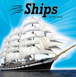 Cover of the book Ships by Michael Bernard Burgan