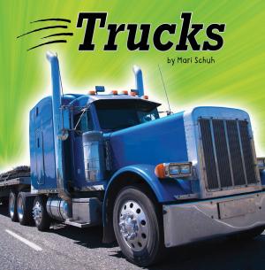 Cover of the book Trucks by Mark Andrew Weakland