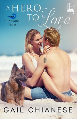 Cover of the book A Hero to Love by Stacy Finz