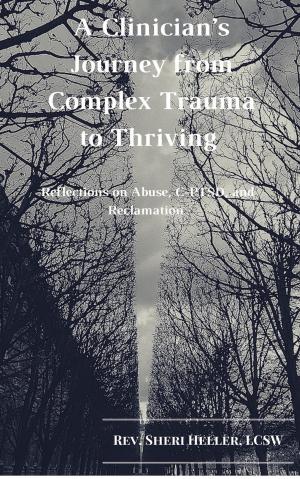 Book cover of A Clinicians Journey from Complex Trauma to Thriving: Reflections on Abuse, C-PTSD and Reclamation