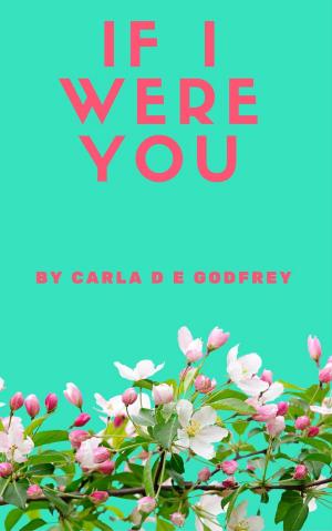 Cover of the book If I Were You by Helen Ellis
