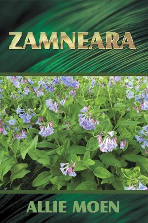 Cover of the book Zamneara by Rabbi Steven Carr Reuben
