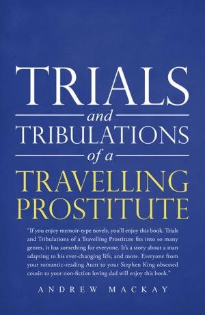 Cover of the book Trials and Tribulations of a Travelling Prostitute by John Elder Robison