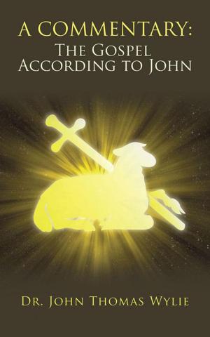 Cover of the book A Commentary: the Gospel According to John by Christine A. Hovliaras RDH BS MBA CDE