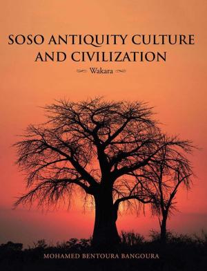 bigCover of the book Soso Antiquity Culture and Civilization by 
