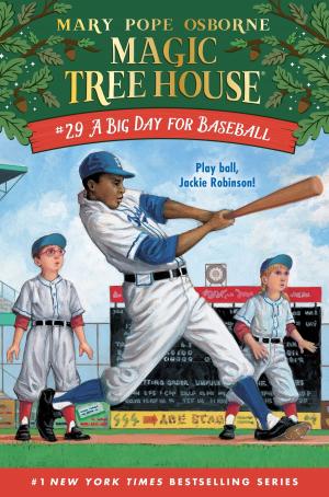 Cover of the book A Big Day for Baseball by Elizabeth Skurnick