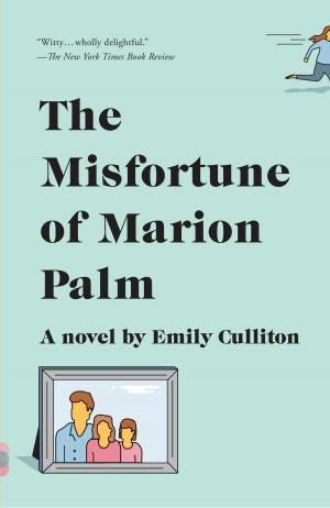 Cover of the book The Misfortune of Marion Palm by Mick Brown