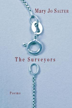 Cover of the book The Surveyors by Joseph Mitchell, David Remnick