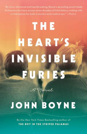 Cover of the book The Heart's Invisible Furies by Marty Beckerman
