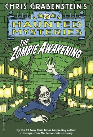 bigCover of the book The Zombie Awakening by 