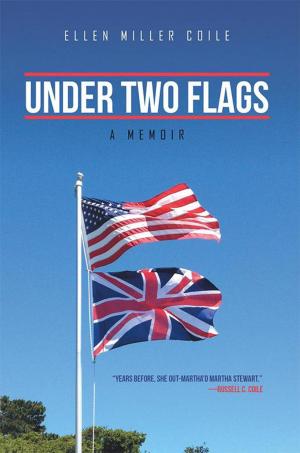 Cover of the book Under Two Flags by Robert Wilson