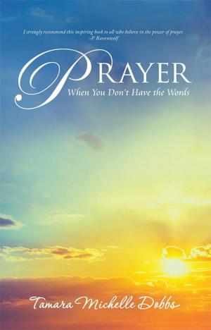 Cover of the book Prayer When You Don’T Have the Words by Eric Carasella