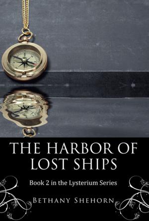 Book cover of The Harbor of Lost Ships