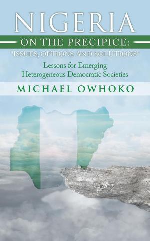 Cover of the book Nigeria on the Precipice: Issues, Options, and Solutions by DorisAnn