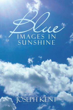 Book cover of Blue Images in Sunshine