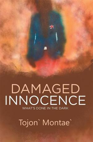 Cover of the book Damaged Innocence by Patrick Downey