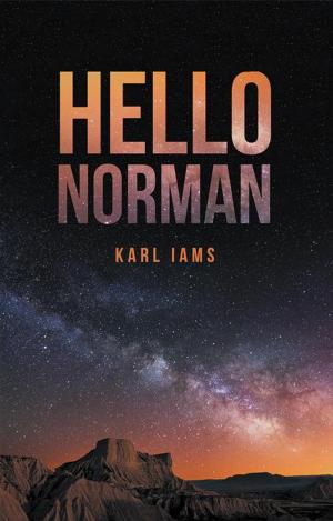 bigCover of the book Hello Norman by 