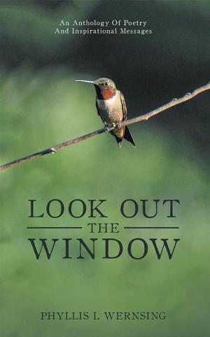 Cover of the book Look out the Window by Suroso Mun