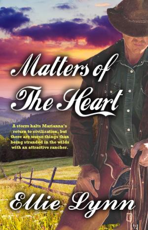 Cover of the book Matters Of The Heart by Lexi Witcher