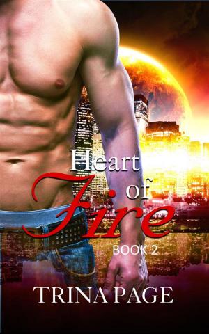 Cover of the book Second Chance: Heart of Fire Book 2 (Shifter Romance) by Rachel Elizabeth Cole