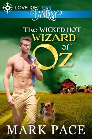 Cover of the book The Wicked Hot Wizard of Oz by Diana Morland