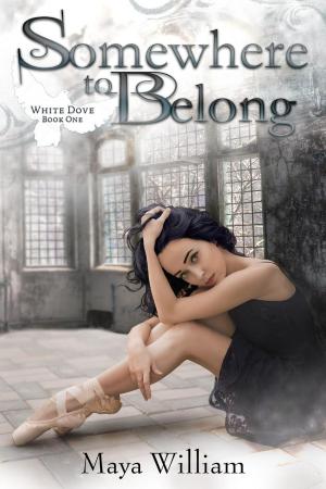 Cover of the book Somewhere to Belong by AJ Anders