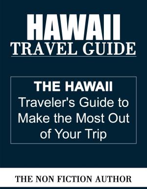 Book cover of Hawaii Travel Guide