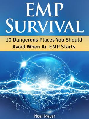 Cover of the book Emp Survival: 10 Dangerous Places You Should Avoid When An Emp Starts by Amanda Byrd