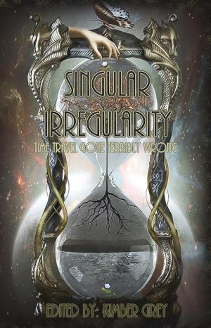 Cover of the book Singular Irregularity - Time Travel Gone Terribly Wrong by Abhay Adil