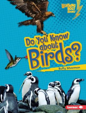 Cover of the book Do You Know about Birds? by Patrick Jennings