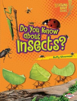 Cover of the book Do You Know about Insects? by Gretchen Woelfle