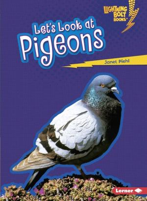 Cover of the book Let's Look at Pigeons by Beth Bence Reinke