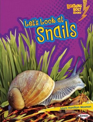 Cover of the book Let's Look at Snails by Samantha S. Bell
