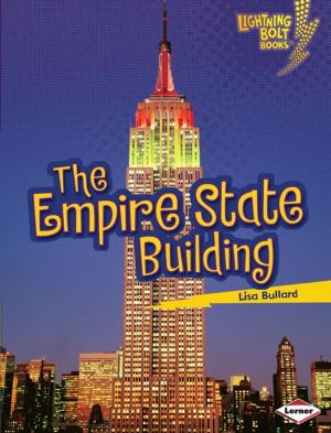 Cover of the book The Empire State Building by Brian P. Cleary