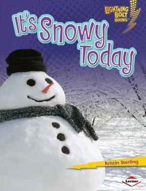 Book cover of It's Snowy Today