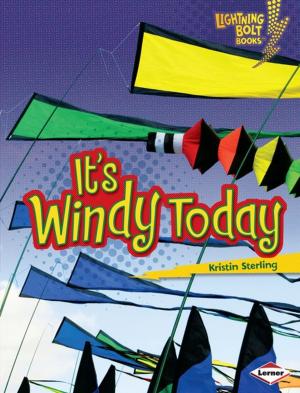 Cover of the book It's Windy Today by Deborah Kops
