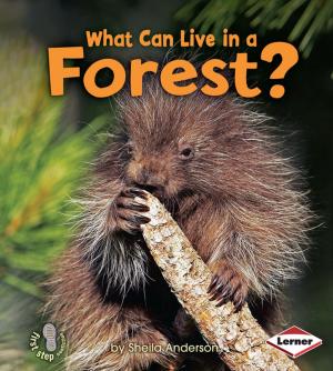 Cover of the book What Can Live in a Forest? by Andrea Wang